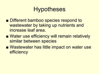 Hypotheses ■  Different bamboo species respond to wastewater by taking up nutrients and increase leaf area. ■  Water use efficiency will remain relatively similar between species ■  Wastewater has little impact on water use efficiency 