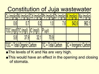 Constitution of Juja wastewater ■ The levels of K and Na are very high. ■ This would have an effect in the opening and closing of stomata. 