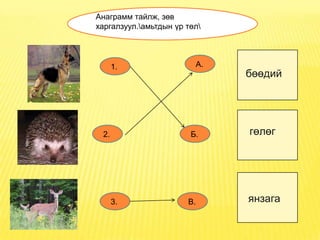 Анаграмм тайлж, зөв
харгалзуул.амьтдын үр төл




      1.                 А.
                              бөөдий




 2.                     Б.    гөлөг




      3.               В.     янзага
 