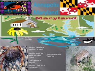 Annapolis  Maryland Maryland  has a large population  of crabs! Maryland shares the border with  West Virginia. Population: 5,296,486 Corn is popular in Maryland. Maryland’s state fish is a brook trout. State mammal is the Calico cat. 