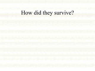 How did they survive? 