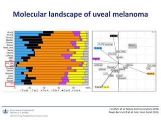 Molecular landscape of uveal melanoma
Field MG et al. Nature Communications 2018.
Royer-Bertrand B et al. Am J Hum Genet 2...
