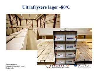 Ultrafrysere lager -80 o C 