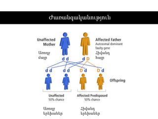 Ժառանգականություն
Առողջ
մայր
Հիվանդ
հայր
Առողջ
երեխաներ
Հիվանդ
երեխաներ
 