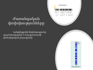 Ժառանգական
փոփոխությունները
Հանթինգթոնի հիվանդությունը
պայմանավորված է 4-րդ քրոմոսոմի
գենետիկական թերությամբ:
 