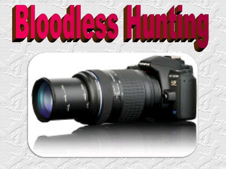 During the long wandering you have to be watchful all the time
              and have the camera quot;on standbyquot;
 