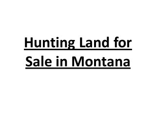 Hunting Land for
Sale in Montana
 