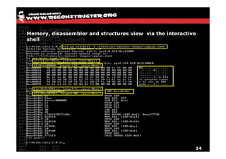 Memory, disassembler and structures view via the interactive
shell




                                                           14
 