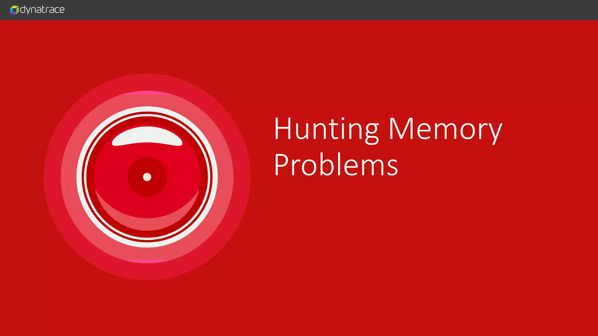 Hunting Memory Problems 