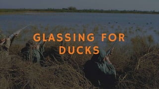 Hunting Tips: Upland Game & Waterfowl