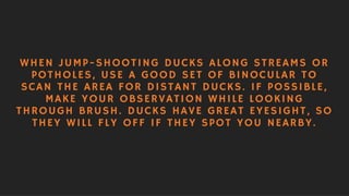 Hunting Tips: Upland Game & Waterfowl