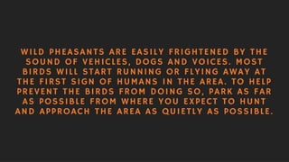 Hunting Tips: Upland Game & Waterfowl