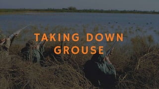 Hunting Tips: Upland Game & Waterfowl