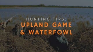 Hunting Tips: Upland Game & Waterfowl