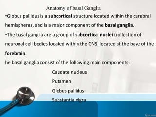 •Globus pallidus is a subcortical structure located within the cerebral
hemispheres, and is a major component of the basal ganglia.
•The basal ganglia are a group of subcortical nuclei (collection of
neuronal cell bodies located within the CNS) located at the base of the
forebrain.
he basal ganglia consist of the following main components:
Caudate nucleus
Putamen
Globus pallidus
Substantia nigra
Anatomy of basal Ganglia
 