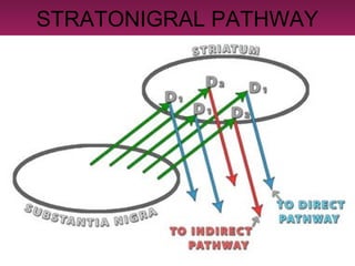 STRATONIGRAL PATHWAY
 