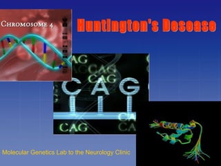 Molecular Genetics Lab to the Neurology Clinic

 