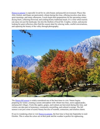 Hunza in autumn is especially loved for its calm beauty and peaceful environment. Places like
Altit, Gulmit, and Hoper are particularly vibrant during this time, offering travelers clear skies,
quiet mornings, and sunny afternoons. Locals begin their preparations for the upcoming winter,
drying fruits, collecting firewood, and cooking hearty traditional meals. It’s a time when tourists
can enjoy not just the landscape, but also the rhythms of local life. Couples, writers, and anyone
looking for quiet reflection often find this season ideal for relaxing walks, soulful conversations,
and capturing the beauty of the valley through photography.
The Hunza fall season is widely considered one of the best times to visit. Nature begins
preparing for winter, creating a serene atmosphere with vibrant tree lines, snow-capped peaks,
and peaceful villages. Fruits like apples, grapes, and walnuts are harvested during this time, and
visitors can take part in homestays, community storytelling, and cultural evenings. The fall
season is not just a time of scenic beauty but also of warmth, connection, and timeless charm.
If you’re wondering when to visit Hunza in autumn, the best time is from late September to mid-
October. This is when the colors are at their peak and the weather is perfect for sightseeing,
 