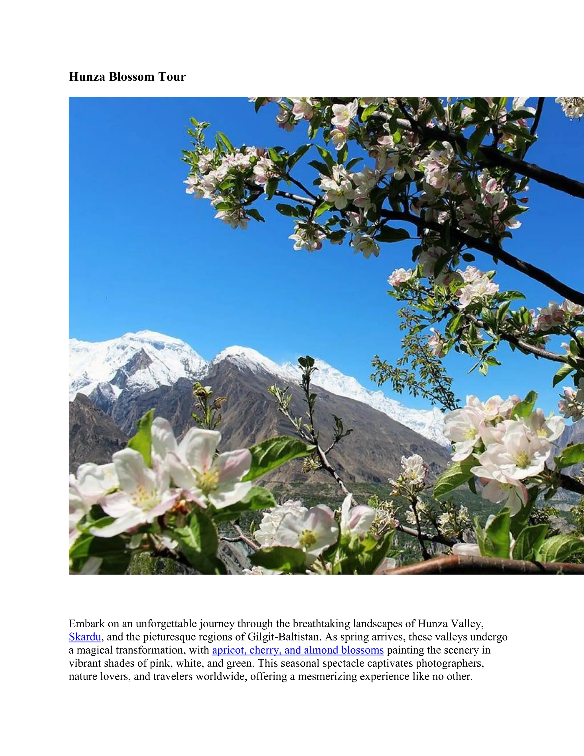 Hunza Blossom Tour. Hunza Cherry Blossom | PDF