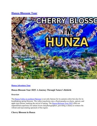 Cherry Blossom Festival Cultural Display - 2025