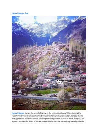 Hunza Spring Hunza Blossom Tour. Hunza Cherry Blossom | PDF