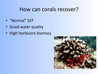 How can corals recover?
• “Normal” SST
• Good water quality
• High herbivore biomass
 