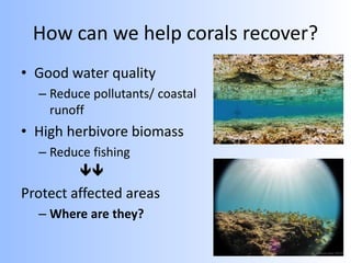 How can we help corals recover?
• Good water quality
– Reduce pollutants/ coastal
runoff
• High herbivore biomass
– Reduce fishing

Protect affected areas
– Where are they?
 
