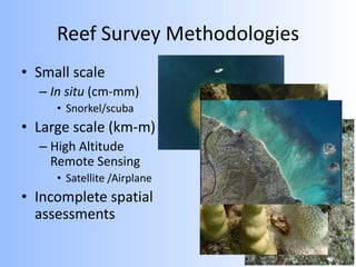Reef Survey Methodologies
• Small scale
– In situ (cm-mm)
• Snorkel/scuba
• Large scale (km-m)
– High Altitude
Remote Sensing
• Satellite /Airplane
• Incomplete spatial
assessments
 