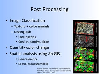 Post Processing
• Image Classification
– Texture + color models
– Distinguish
• Coral species
• Coral vs. sand vs. algae
• Quantify color change
• Spatial analysis using ArcGIS
• Geo-reference
• Spatial measurements
Caras & Karnieli. Ground-Level Classification of a
Coral Reef Using a Hyperspectral Camera. Remote
Sens. 7, 7521–7544 (2015).
 