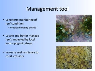 Management tool
• Long term monitoring of
reef condition
– Predict mortality events
• Locate and better manage
reefs impacted by local
anthropogenic stress
• Increase reef resilience to
coral stressors
 