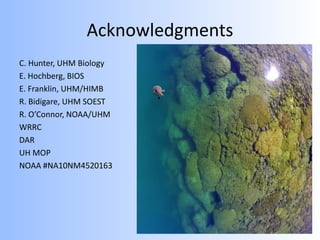 Acknowledgments
C. Hunter, UHM Biology
E. Hochberg, BIOS
E. Franklin, UHM/HIMB
R. Bidigare, UHM SOEST
R. O’Connor, NOAA/UHM
WRRC
DAR
UH MOP
NOAA #NA10NM4520163
 