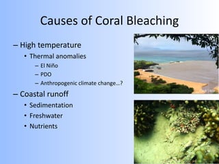 Causes of Coral Bleaching
– High temperature
• Thermal anomalies
– El Niño
– PDO
– Anthropogenic climate change…?
– Coastal runoff
• Sedimentation
• Freshwater
• Nutrients
Clark Little
 
