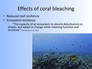Effects of coral bleaching
• Reduced reef resilience
• Ecosystem resilience
“The capacity of an ecosystem to absorb disturbances or
shocks, and adapt to change while retaining function and
structure”. McClanahan et al. 2012
 