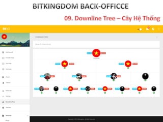 Hướng dẫn back officce Bitkingdom