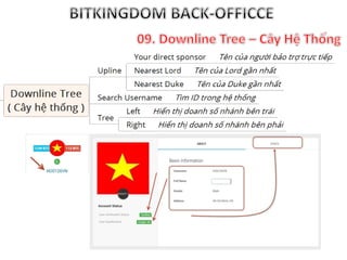 Hướng dẫn back officce Bitkingdom