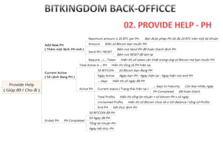 Hướng dẫn back officce Bitkingdom