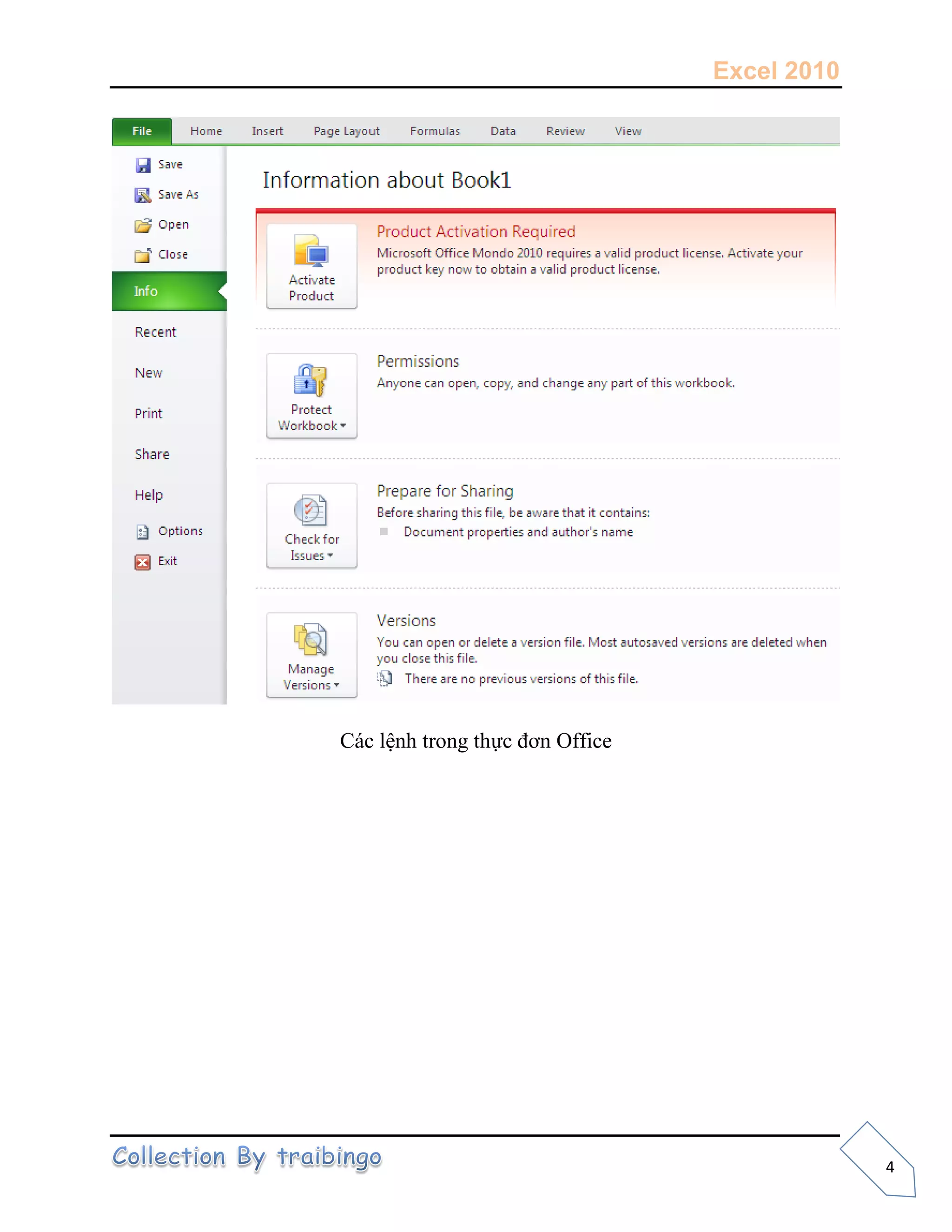 Excel 2010
4
Các lệnh trong thực đơn Office
 
