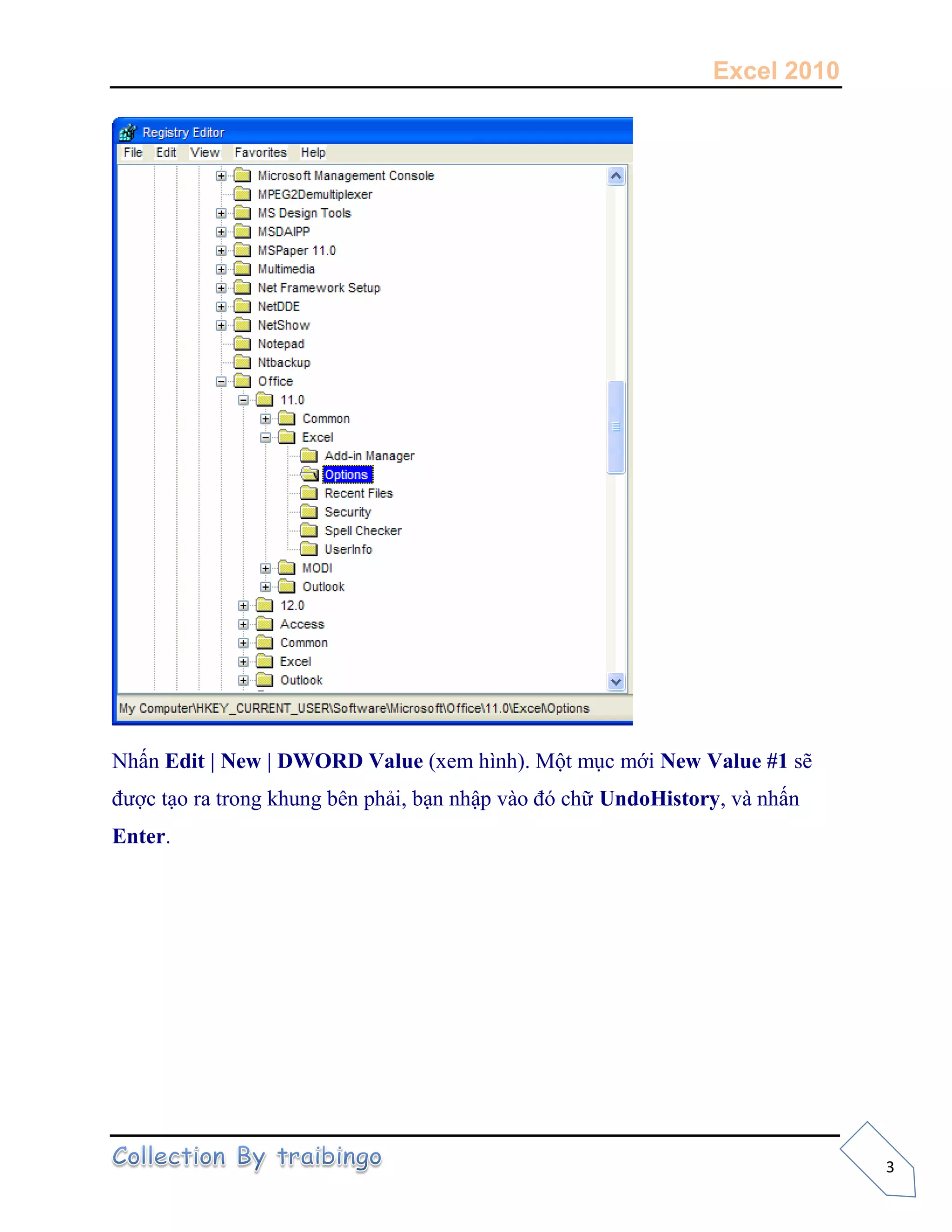 Excel 2010
3
Nhấn Edit | New | DWORD Value (xem hình). Một mục mới New Value #1 sẽ
được tạo ra trong khung bên phải, bạn nhập vào đó chữ UndoHistory, và nhấn
Enter.
 