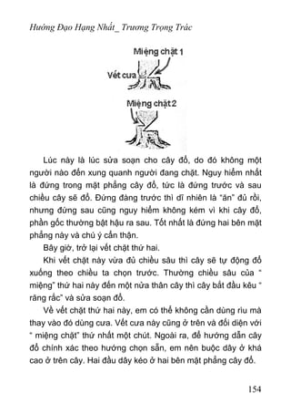 Hướng Đạo Hạng Nhất_ Trương Trọng Trác
Lúc này là lúc sửa soạn cho cây đổ, do đó không một
người nào đến xung quanh người đang chặt. Nguy hiểm nhất
là đứng trong mặt phẳng cây đổ, tức là đứng trước và sau
chiều cây sẽ đổ. Đứng đàng trước thì dĩ nhiên là “ăn” đủ rồi,
nhưng đứng sau cũng nguy hiểm không kém vì khi cây đổ,
phần gốc thường bật hậu ra sau. Tốt nhất là đứng hai bên mặt
phẳng này và chú ý cẩn thận.
Bây giờ, trở lại vết chặt thứ hai.
Khi vết chặt này vừa đủ chiều sâu thì cây sẽ tự động đổ
xuống theo chiều ta chọn trước. Thường chiều sâu của “
miệng” thứ hai này đến một nửa thân cây thì cây bắt đầu kêu “
răng rắc” và sửa soạn đổ.
Về vết chặt thứ hai này, em có thể không cần dùng rìu mà
thay vào đó dùng cưa. Vết cưa này cũng ở trên và đối diện với
“ miệng chặt” thứ nhất một chút. Ngoài ra, để hướng dẫn cây
đổ chính xác theo hướng chọn sẵn, em nên buộc dây ở khá
cao ở trên cây. Hai đầu dây kéo ở hai bên mặt phẳng cây đổ.
154
 