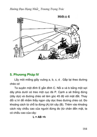 Hướng Đạo Hạng Nhất_ Trương Trọng Trác
5. Phương Pháp IV
Lấy môt miếng giấy vuông a, b, c, d . Gấp lại theo đường
chéo cd
Ta xuyên một đỉnh E gần đỉnh C. Nối a và b bằng một sợi
dây phía dướí có treo một cục đá P. Cạnh a sẽ thẳng đứng
(dây dọi) và đường chéo sẽ làm góc 45 độ với mặt đất. Thay
đổi vị trí để nhắm thấy ngọn cây dọc theo đường chéo cd. Đo
khoảng cách từ chỗ ta đứng (A) tới cây (B). Thêm vào khoảng
cách này chiều cao của người đứng đo (từ chân đến mặt, ta
có chiều cao của cây:
L = AB +h
184
 