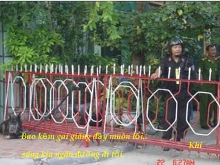 Bao k m gai giăng đ y muôn l i..ẽ ầ ố
Khi
súng kia ngăn đ ng đi t i,ườ ớ
 