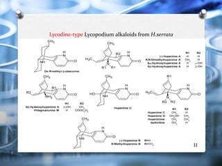 Lycodine Huperzine A | PPTX