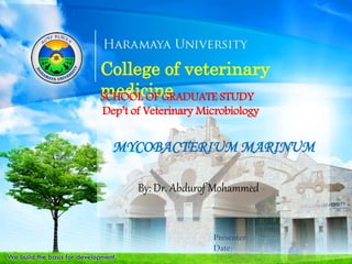 College of veterinary
medicine
MYCOBACTERIUM MARINUM
Presenter:
Date:
SCHOOL OF GRADUATE STUDY
Dep’t of Veterinary Microbiology
By: Dr. Abdurof Mohammed
 