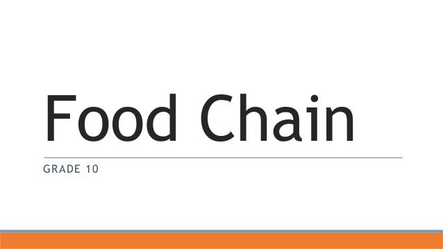 Food chain