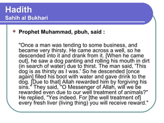 Hadith
Sahih al Bukhari
 Prophet Muhammad, pbuh, said :
"Once a man was tending to some business, and
became very thirsty. He came across a well, so he
descended into it and drank from it. [When he came
out], he saw a dog panting and rolling his mouth in dirt
(in search of water) due to thirst. The man said, 'This
dog is as thirsty as I was.' So he descended [once
again] filled his boot with water and gave drink to the
dog. [Due to that] Allah rewarded him by forgiving his
sins." They said, "O Messenger of Allah, will we be
rewarded even due to our well treatment of animals?"
He replied, "Yes indeed. For [the well treatment of]
every fresh liver (living thing) you will receive reward."
 