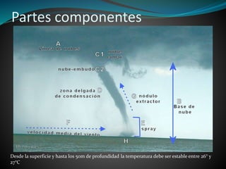 Partes componentes
Desde la superficie y hasta los 50m de profundidad la temperatura debe ser estable entre 26° y
27°C
 