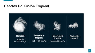 11
Escalas Del Ciclón Tropical
 