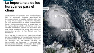 20
20
La importancia de los
huracanes para el
clima
Los huracanes son como los aires acondicionados
para la atmosfera terrestre, estabilizan la
temperatura desde el ecuador hasta los polos (sur
y norte) convirtiéndose en reguladores naturales
del clima. El movimiento de masas de aire caliente
forman vientos que disminuyen la temperatura en
los trópicos, de no suceder esto, la vida sería muy
difícil en esta región. Además, los huracanes son
una fuente importante de agua dulce para los
continentes, gracias a las lluvias que los
acompañan.
Dado que los huracanes son parte integral del
clima en los trópicos, forman parte de la dinámica
e historia natural de los ecosistemas y especies.
Sin embargo, en las últimas décadas ha
incrementado su frecuencia e intensidad por
consecuencia del cambio climático(es decir cada
vez son más numerosos y de mayor categoría).
 