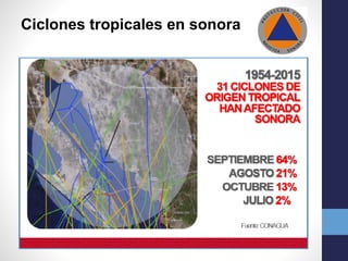 Ciclones tropicales en sonora
 