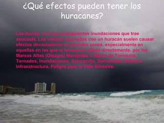 ¿Qué efectos pueden tener los huracanes? -Las lluvias, con las consiguientes inundaciones que trae asociada. Los vientos asociados con un huracán suelen causar efectos devastadores en grandes zonas, especialmente en aquellas en las que el fenómeno afecta directamente. por las Mareas Altas (Oleajes),Marejadas o Marea de Tormenta, Tornados, Inundaciones, Saturación, Derrumbes, Daños a Infraestructura, Peligro para la Vida Silvestre.  